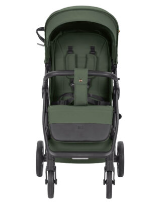 Прогулянкова коляска CARRELLO bravo carbon